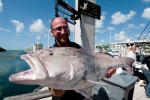grouper.jpg