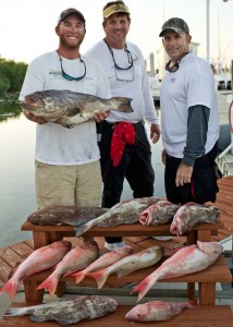Mutton snapper and grouper