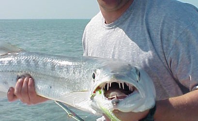 barracuda-fly-fishing