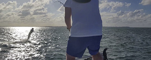 tarpon fishing