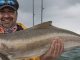Cobia Fishing
