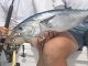 Key West fishing for amber jack and bonito using DAIWA speed jigs
