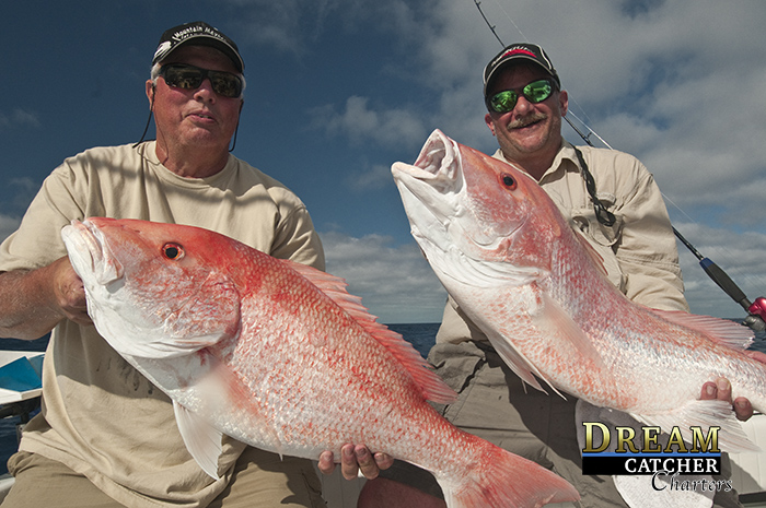Red Snapper Near Me - Northern Red Snapper, Florida Snappers, Whole