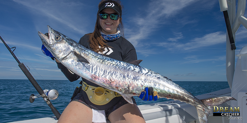 Catching Kingfish: How to rig a live bait - deep dropping or slow