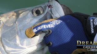 Aftco Gloves Blue Feaver tarpon Release
