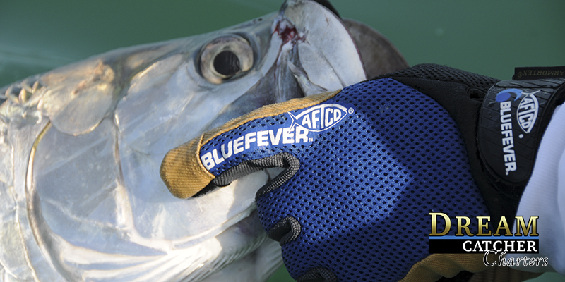 https://thekeywestfishingreport.com/wp-content/uploads/2018/02/aftco-gloves-bluewater-tarpon.jpg
