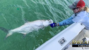 tarpon fishing, tarpon release, tarpon