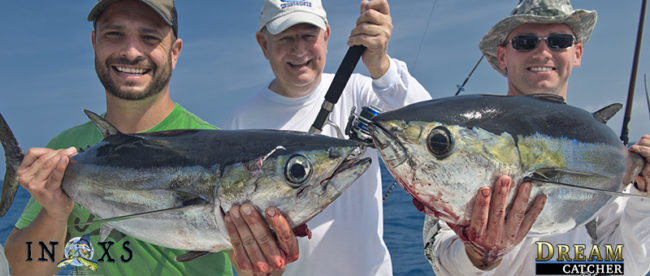 blackfin tuna key west anglers fishermen
