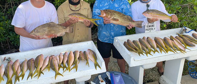 Key West reef fishing for yellowtail snappers, grouper