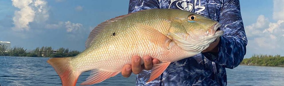 backcountry mutton snapper