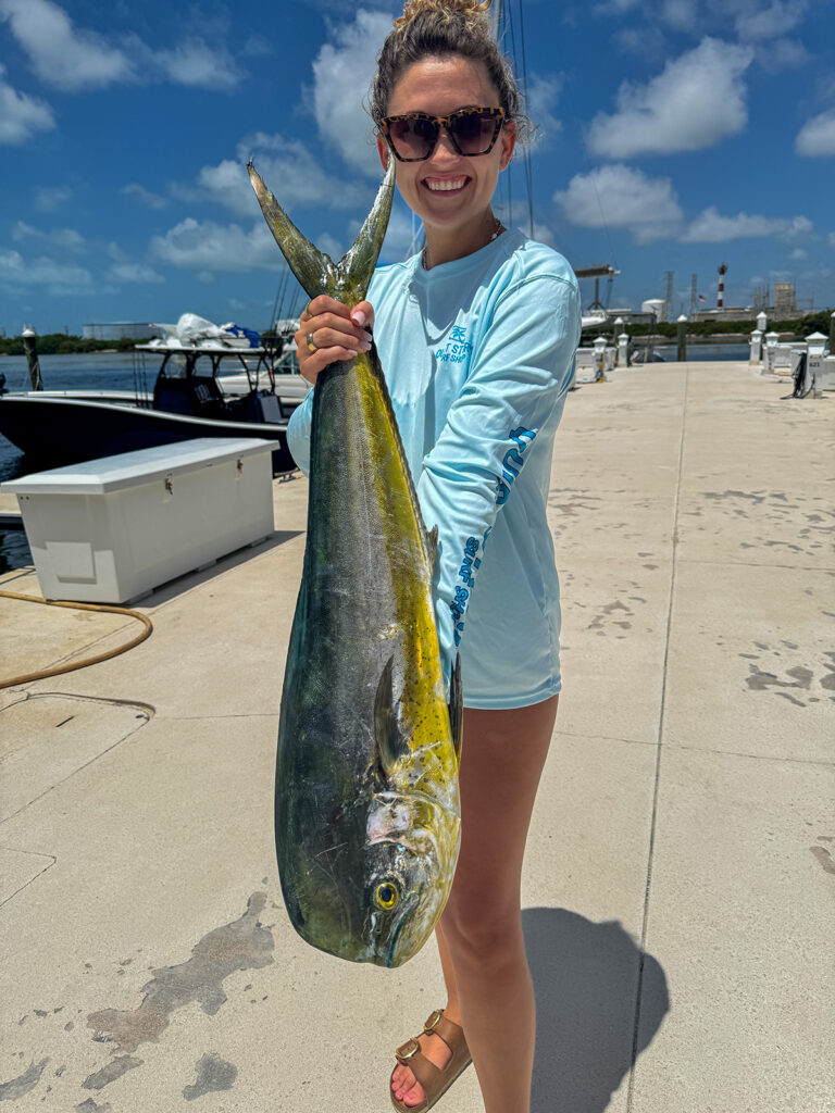 Key West fishing report mahi mahi