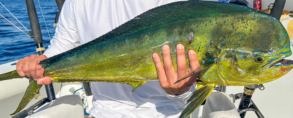 Key West deep sea fishing report