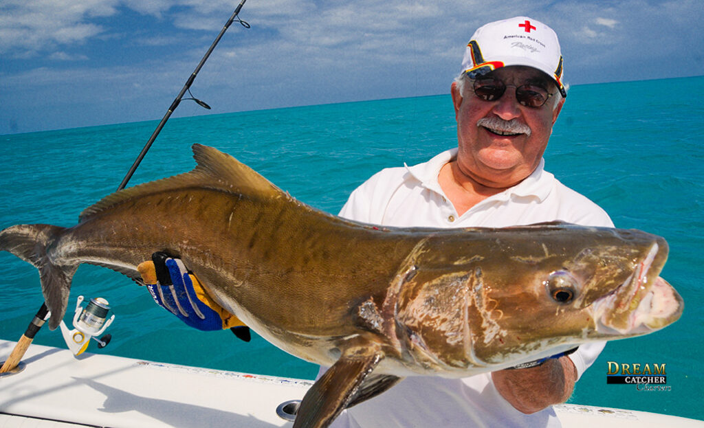 Cobia Key West fishing report
