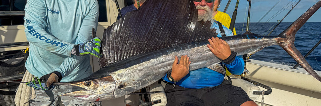 Key West fishing report sailfish