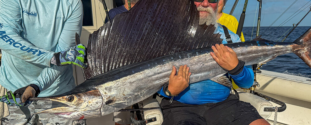 Key West fishing report sailfish
